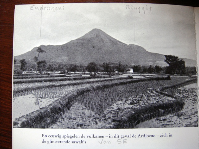 {1971:Malang}